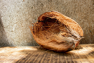 Coir Mat vs Coconut Mat
