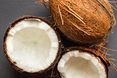 10 Facts You Didn’t Know About Coir